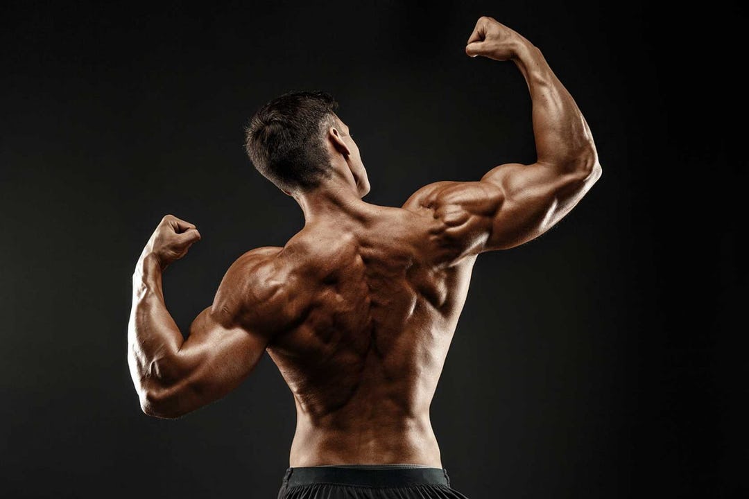 Best Bodybuilding Supplement Stack | REVIEW | Build ...