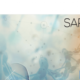 SARMs4you-official.logo