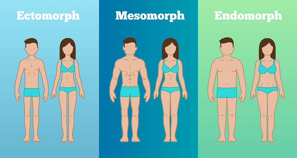 body-types